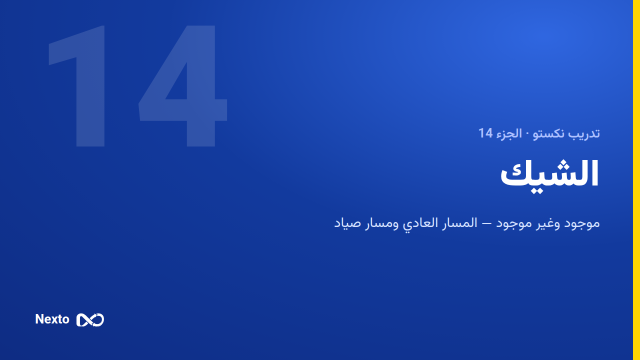 الشيكات: المسار العادي ومسار صياد